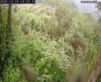 水利署水資源 水利署水利行政組 大安溪達觀堤防簡易站_4 距離9.8公里