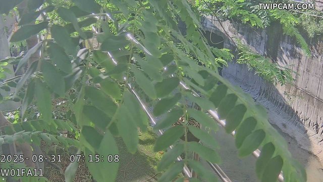 水利署水資源 台中市政府水利局 牛角坑溪下游影像