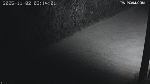 水利署水資源 水利署水利行政組 東埔蚋(4) 距離1.0公里