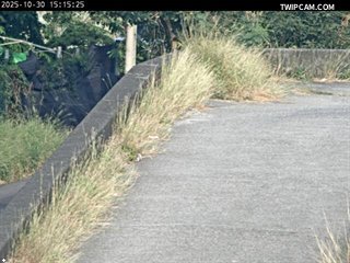 水利署水資源 水利署水利行政組 林子尾堤防_3 距離1.4公里