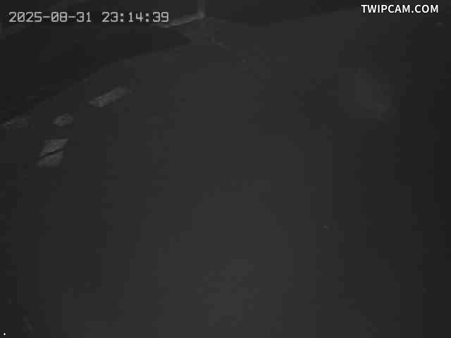 水利署水資源 水利署水利行政組 社子堤防171號越堤路_2