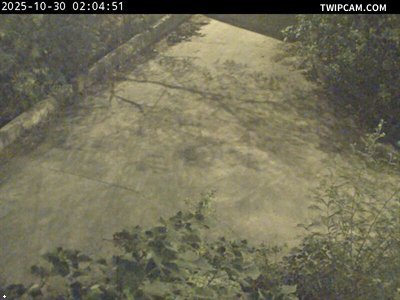 水利署水資源 水利署水利行政組 中彰下游左岸正下方_2 距離1.8公里