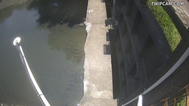 水利署水資源 第二河川分署 新竹市感潮段海埔地海堤 1K+732 距離452公尺