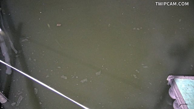 水利署水資源 第五河川分署 台子村堤防 0K+223 距離1.5公里