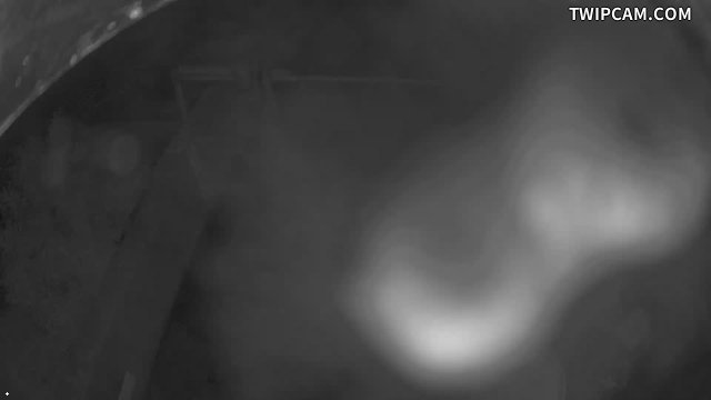 水利署水資源 第五河川分署 台子村堤防 0K+223 距離1.5公里