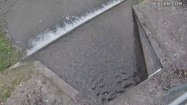 水利署水資源 第九河川分署 大進堤防1+230水門