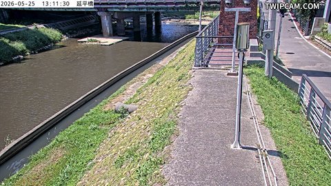 水利署水資源 桃園巿政府水務局(智慧防汛) 延平橋 距離953公尺