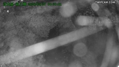 水利署水資源 新北市政府水利局(智慧防汛) 商工橋 距離3.8公里