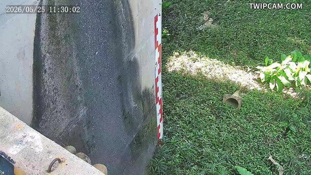 水利署水資源 新北市政府水利局(智慧防汛) 鐵路橋 距離816公尺
