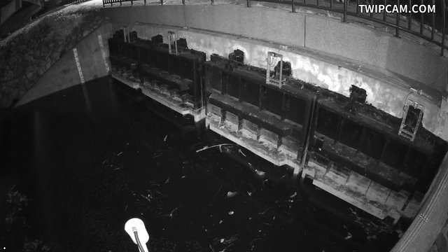 水利署水資源 第二河川分署 頭前溪舊港島環島護岸 距離1.2公里